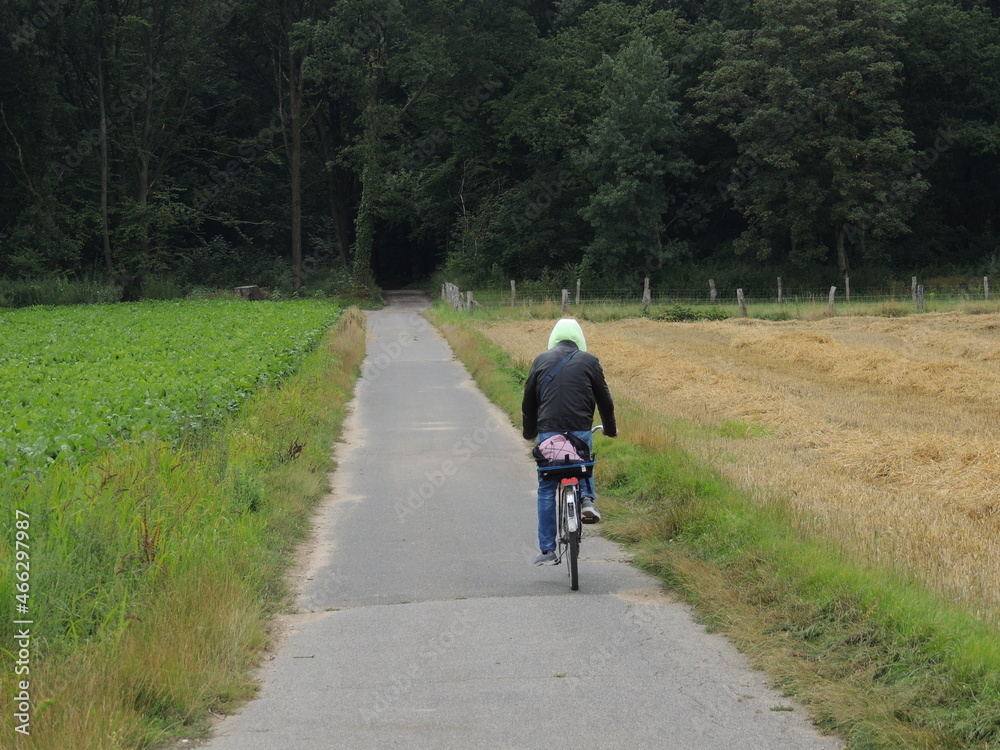 Fototapeta premium Going in the woods