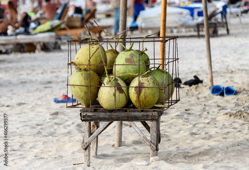 drinking coconuts on a beach