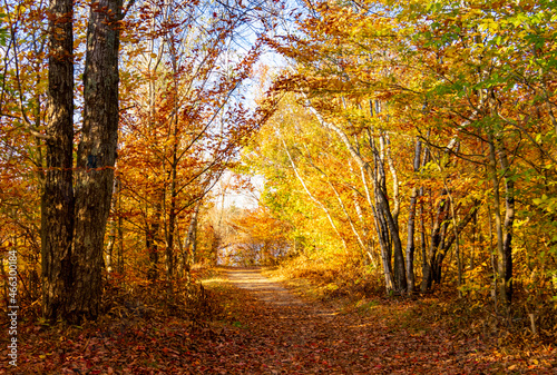 Autumn at Tobyhanna State Park in Pennsylvania © Stephen