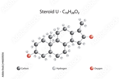 Molecular formula of the steroid. A steroid is a lipid with a carbon skeleton consisting of four fused rings.