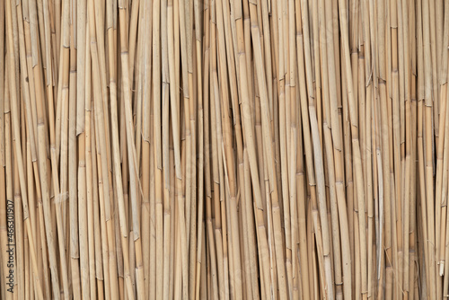 Texture of a reed mat   5247