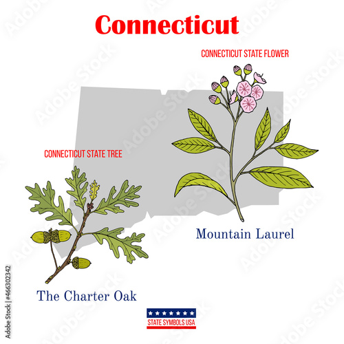 Connecticut. Set of USA official state symbols