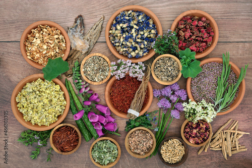 Alternative herbal plant medicine collection with herbs and flowers in bowls and loose. Natural health care concept. Top view, flat lay on rustic wood background.