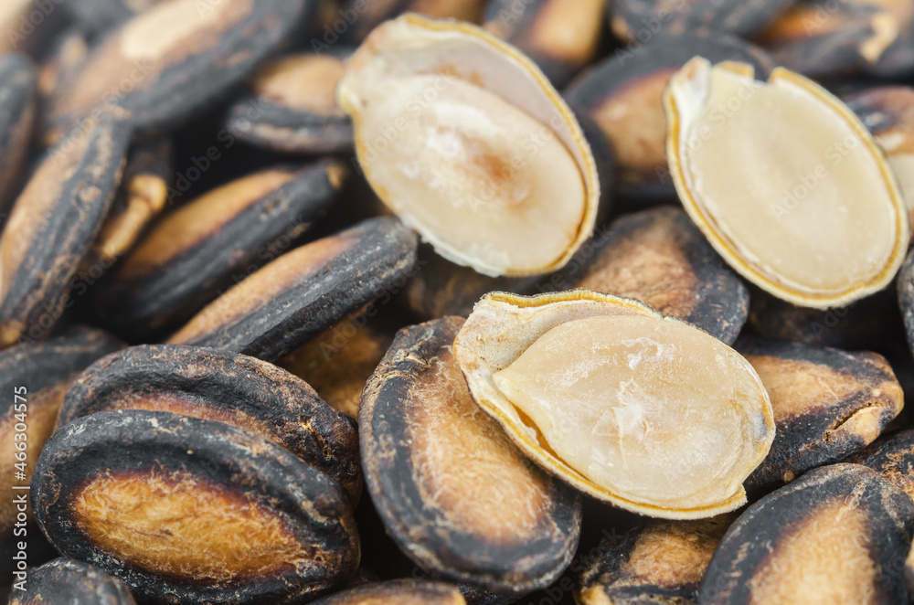 Black dry watermelon seeds texture. Black dry watermelon seeds texture.