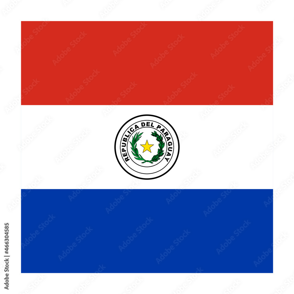 Obraz premium Paraguay Square Country Flag button Icon