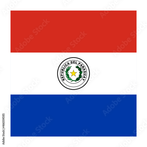 Paraguay Square Country Flag button Icon