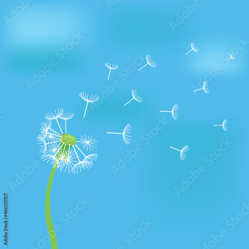 The dandelion against the sky. Vector illustration