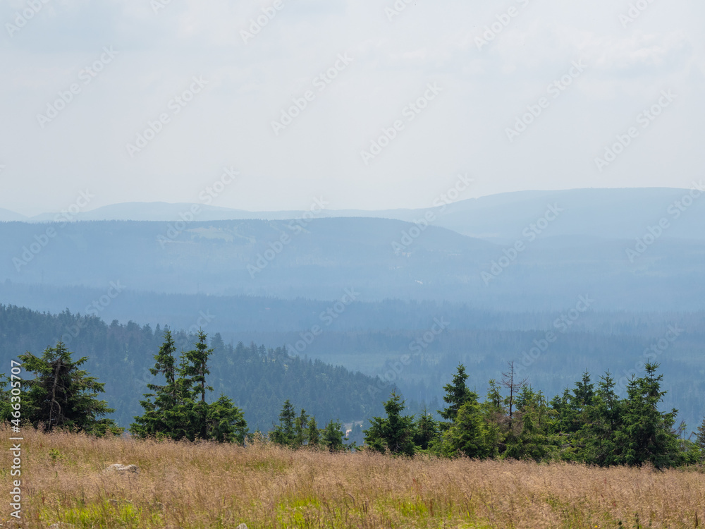 Landscape on mountain Brocken in Harz in Germany.