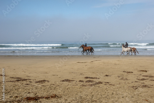 Equestrians on a California Beach near Morro Bay Training their Horses with a Run in the Surf on a Beautiful Day