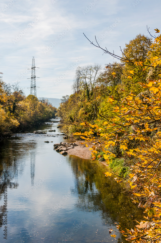 Obraz premium Münchenstein, Birs, Fluss, Birstal, Baselland, Arlesheim, Reinach, Wald, Waldweg, Auwald, Uferweg, Wanderweg, Renaturierung, Herbst, Herbstfarben, Herbstlaub, Herbstsonne, Dorf, Basel, Schweiz