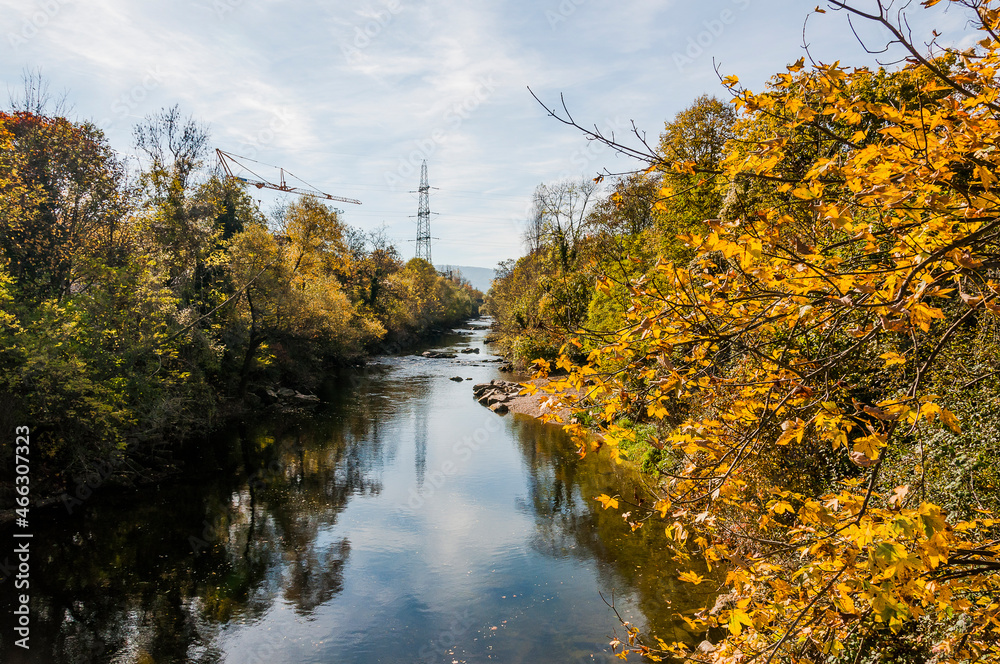 Fototapeta premium Münchenstein, Birs, Fluss, Birstal, Baselland, Arlesheim, Reinach, Wald, Waldweg, Auwald, Uferweg, Wanderweg, Renaturierung, Herbst, Herbstfarben, Herbstlaub, Herbstsonne, Dorf, Basel, Schweiz