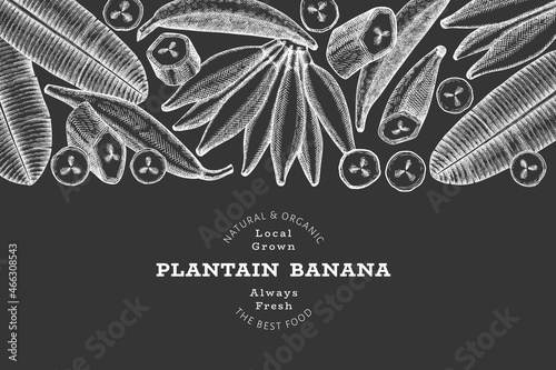 Hand drawn sketch style plantain banner. Organic fresh fruit vector illustration on chalk board. Retro exotic banana fruit design template
