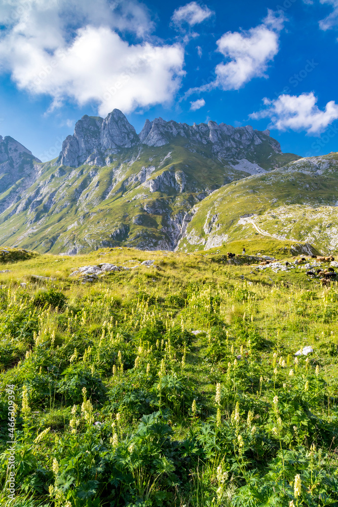 Mangart mountain,  Triglav national park, Julian Alps, Slovenia