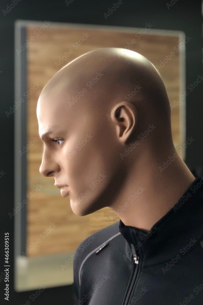 portrait of a person with a background portrait of a person with a background