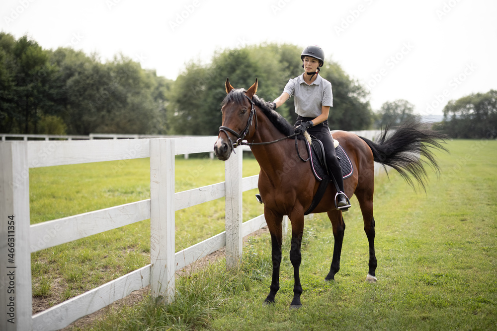 Female horseman riding brown Thoroughbred horse on green meadow near fence in countryside. Concept of rural resting and leisure. Idea of green tourism. Young smiling european woman. Sunny daytime Female horseman riding brown Thoroughbred horse on green meadow near fence in countryside. Concept of rural resting and leisure. Idea of green tourism. Young smiling european woman. Sunny daytime