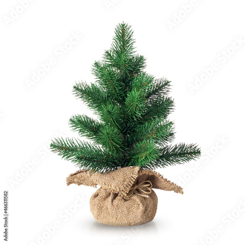 Unadorned Christmas tree isolated on white background with reflection and soft shadow. Small artifical spruce tree in pot wrapped in burlap sack.
