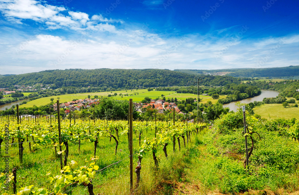 The Neckar Valley, View from the Michelsberg, Gundelsheim, Baden-Württemberg in Germany, Europe