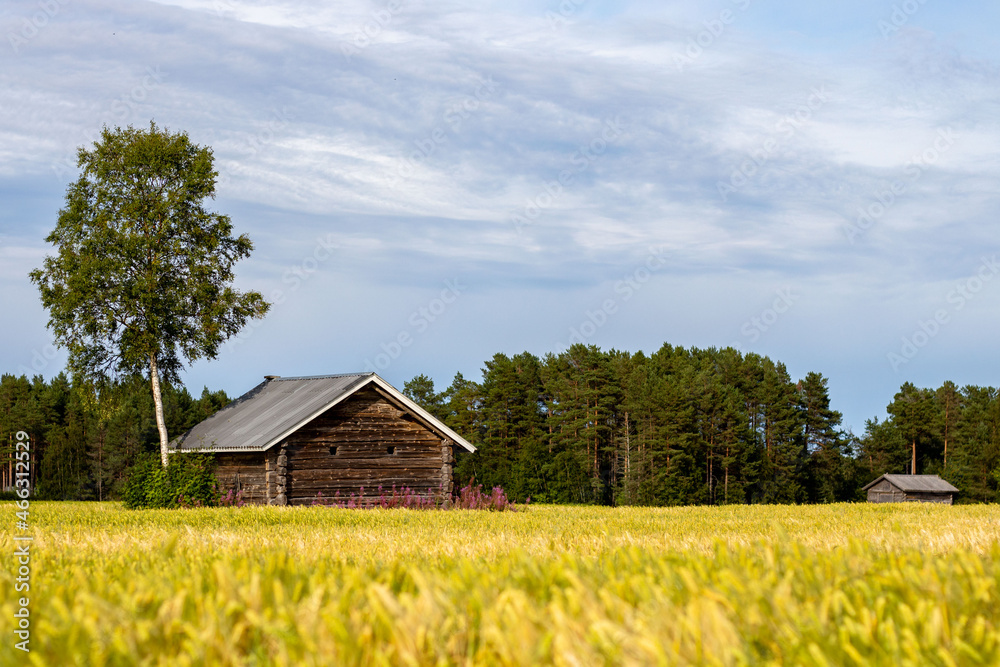 Obraz premium Finnish Countryside