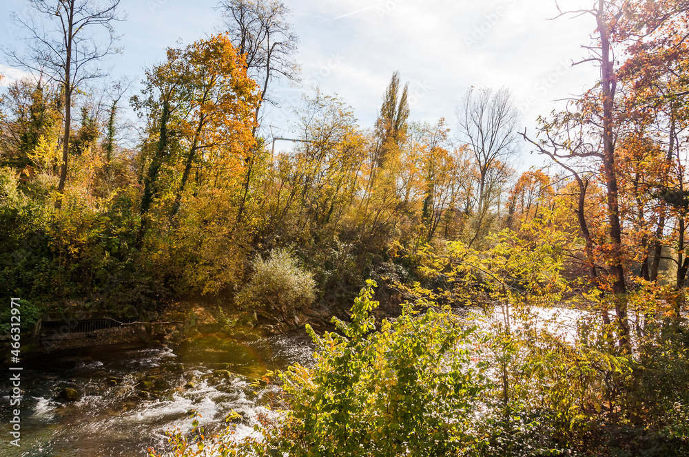 Fototapeta premium Münchenstein, Birs, Fluss, Birstal, Baselland, Arlesheim, Reinach, Wald, Waldweg, Auwald, Uferweg, Wanderweg, Renaturierung, Herbst, Herbstfarben, Herbstlaub, Herbstsonne, Dorf, Basel, Schweiz