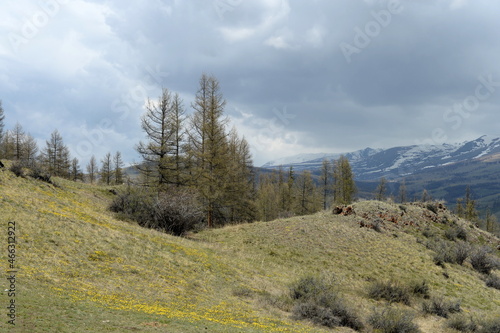 Mountain landscape near the North Chui ridge in the Kosh-Agach district of the Altai Republic. Russia photo