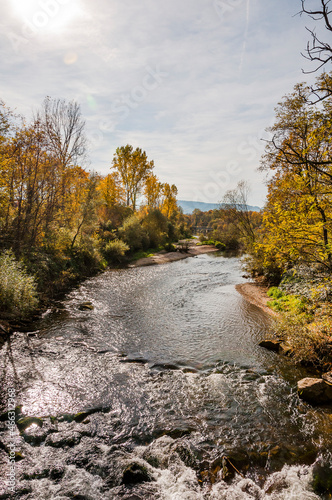 Münchenstein, Birs, Fluss, Birstal, Baselland, Arlesheim, Reinach, Wald, Waldweg, Auwald, Uferweg, Wanderweg, Renaturierung, Herbst, Herbstfarben, Herbstlaub, Herbstsonne, Dorf, Basel, Schweiz