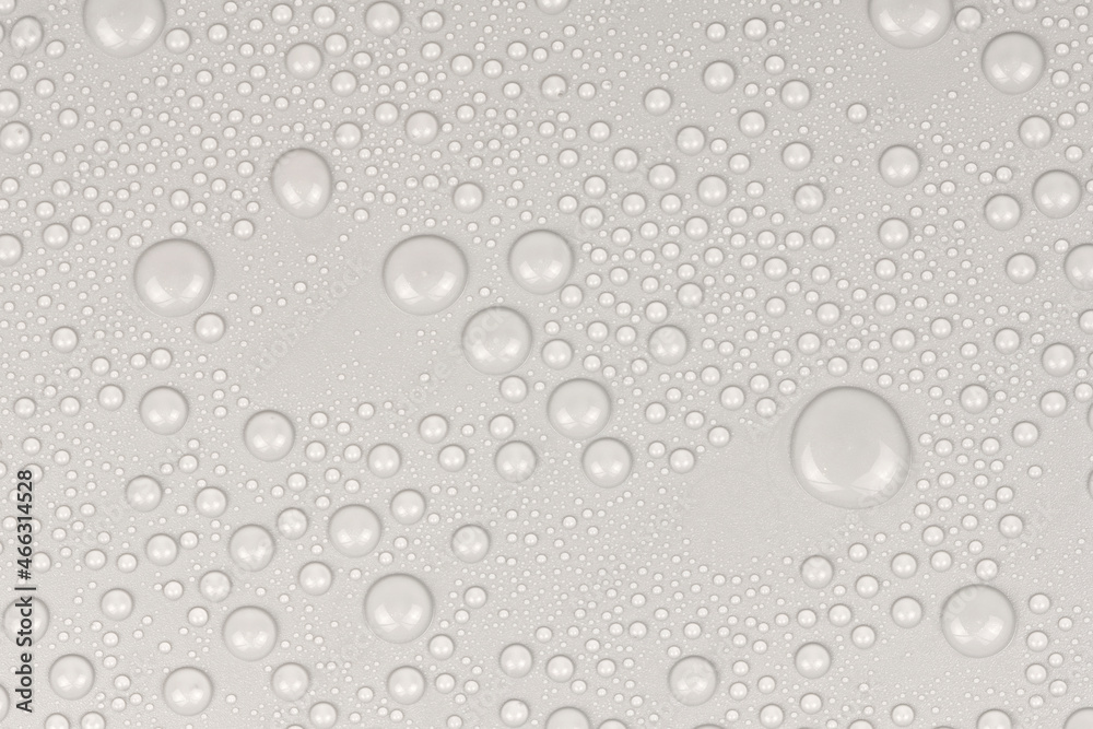 Water drops on white background texture. backdrop glass covered with drops of water. gray bubbles in water
