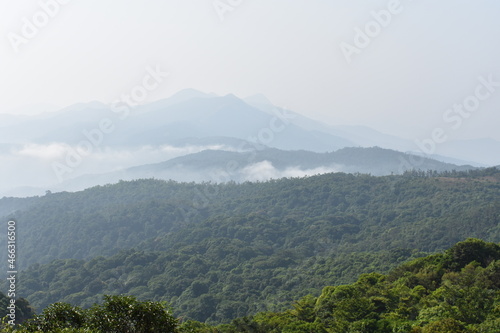 Coorg hills  Karnataka  India