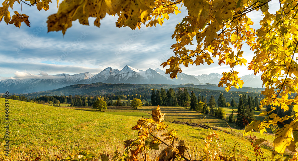 Beautiful autumn landscape of Tatry mountains - obrazy, fototapety, plakaty 