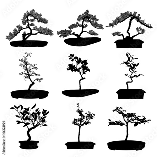 Bonsai tree black silhouette set. Plant on a white background. Detailed isolated image collection. Decorative arts hobby of growing mini tree in the pot. Asian origin. Vector.