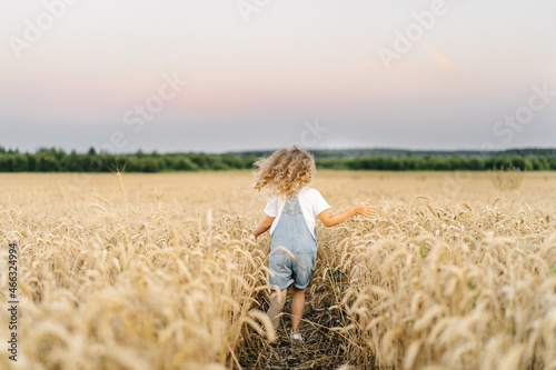 a little blonde curly girl running in a wheat field, the concept of human freedom, people from behind © Надежда Урюпина