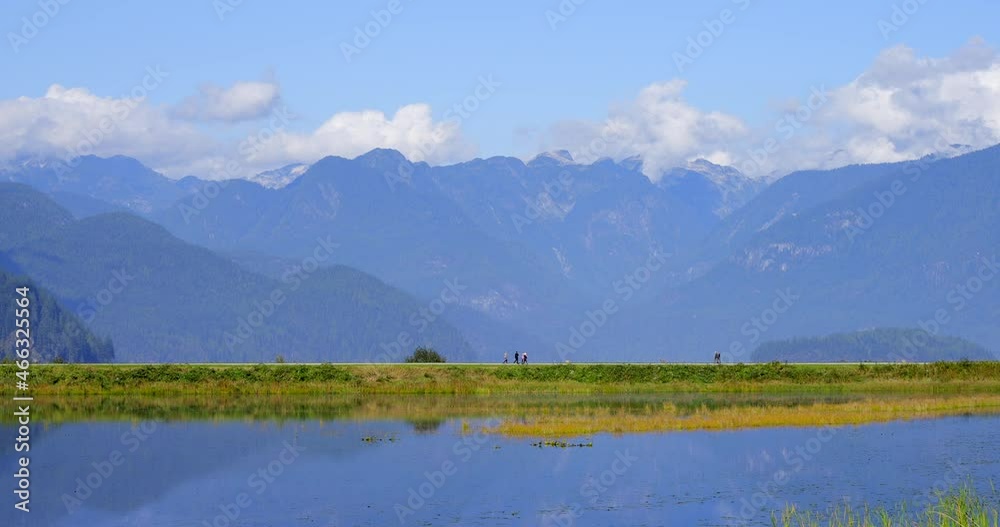 Establishing shot of Swamp in the Park with Wildlife in Vancouver, Canada, North America. Day time on September 2021. Still camera view. ProRes 422 HQ. Establishing shot of Swamp in the Park with Wildlife in Vancouver, Canada, North America. Day time on September 2021. Still camera view. ProRes 422 HQ.