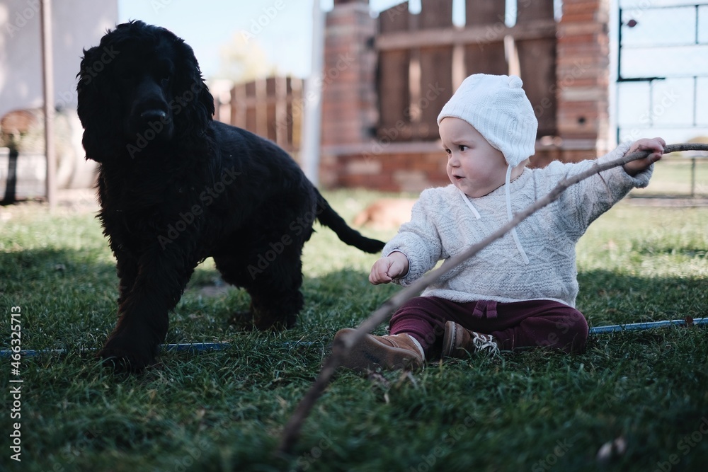 child playing with their dog, the baby and his best friend child playing with their dog, the baby and his best friend