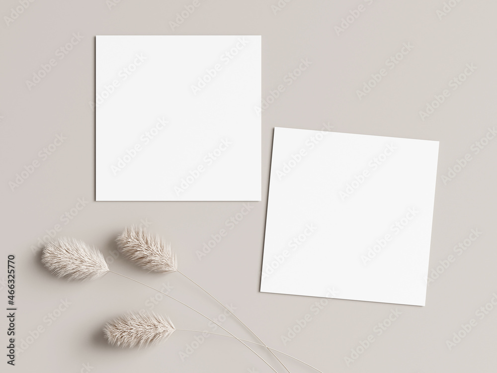 two square cards mockup with dry plant two square cards mockup with dry plant