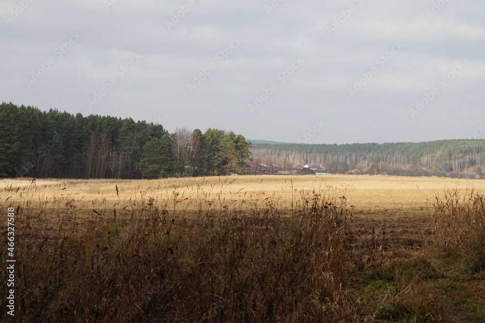 Obraz premium landscape with trees and clouds