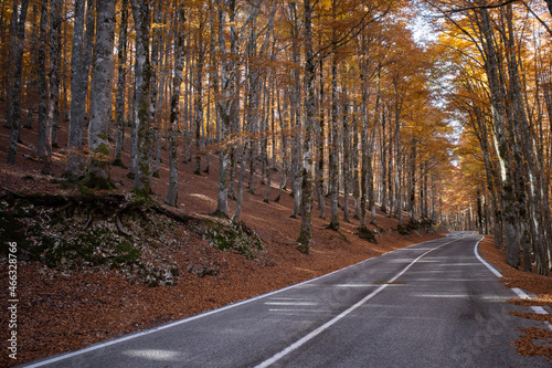 Forca d'Acero among the wonderful places to see in autumn