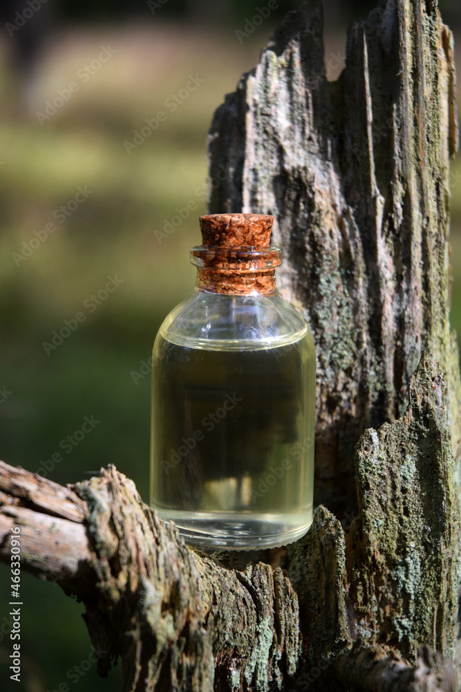 Forest aroma oil bio organic Forest aroma oil bio organic