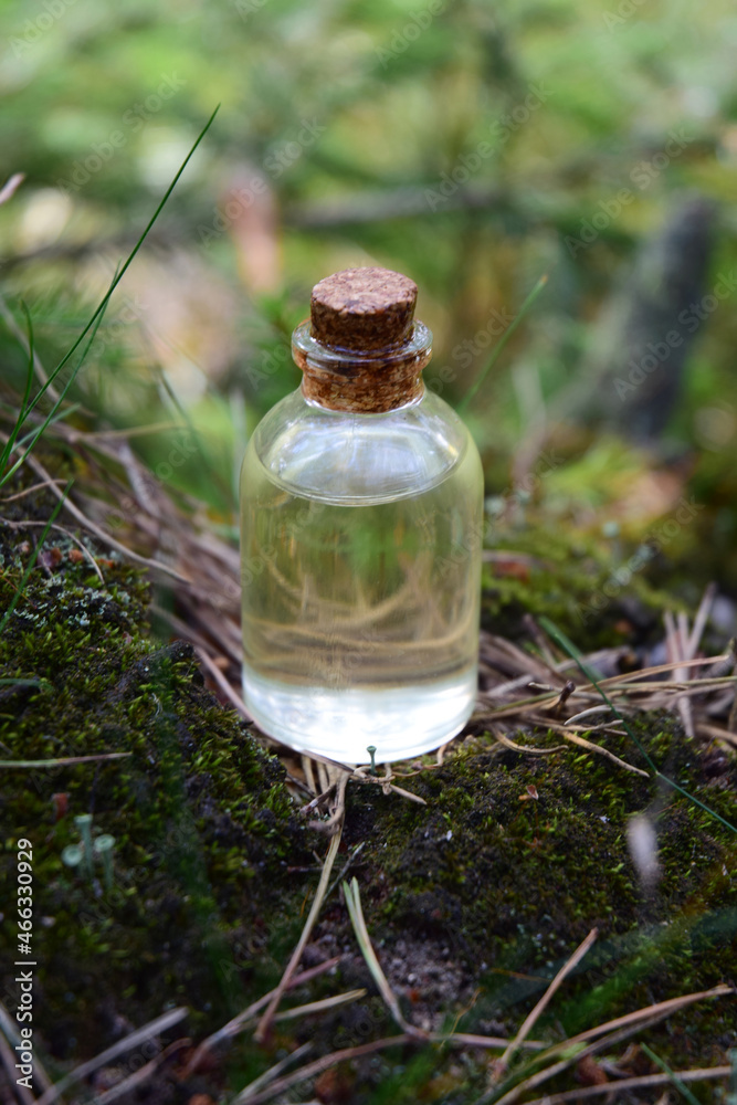 Forest aroma oil bio organic