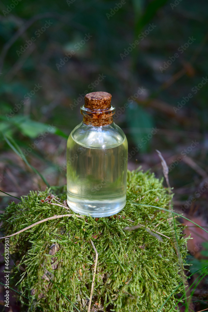 Forest aroma oil bio organic Forest aroma oil bio organic