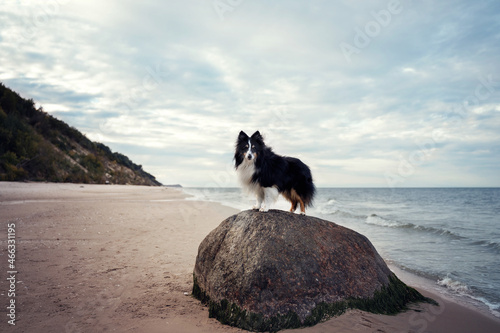 Ostseeliebe 