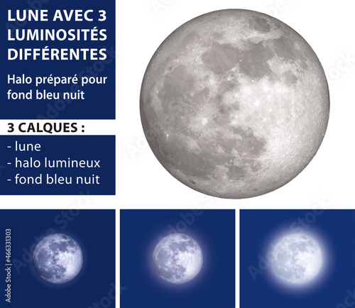 PLEINE LUNE VECTORIELLE RÉALISTE avec montage sur ciel bleu nuit