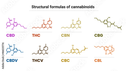 Chemical formulas of natural cannabinoids: tetrahydrocannabinol, cannabidiol, cannabinol, cannabigerol, tetrahydrocannabivarin, cannabidivarin, cannabichromene, cannabicyclol. Icons are isolated on wh