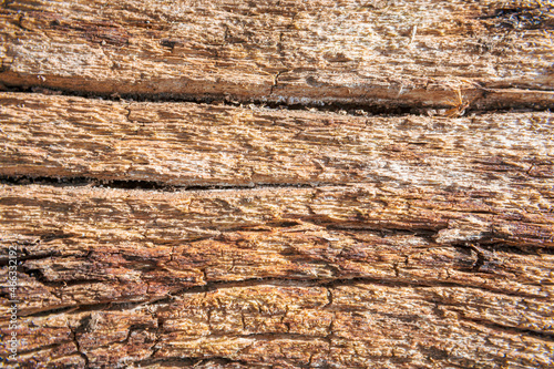 Old wood wall background