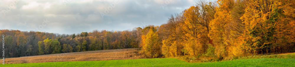 Wisconsin farmland with hay, a cornfield and a colorful forest in October Wisconsin farmland with hay, a cornfield and a colorful forest in October