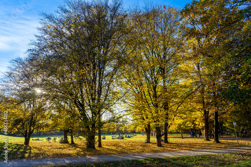 Schöner Herbst in München: Menschen, bunte Bäume und schöne Wiese in der Sonne im Hirschgarten