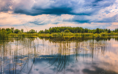 reflection of grass in water