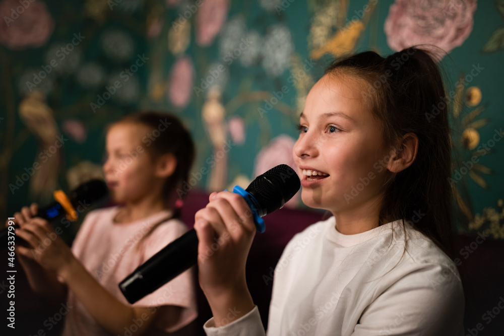 Two girls singing with microphones in karaoke club