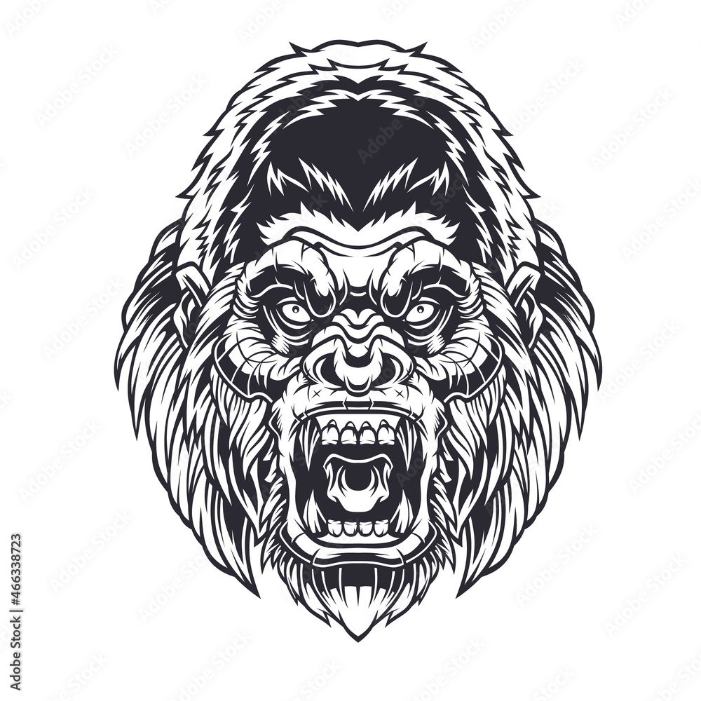 Obraz premium Angry Gorilla Head.