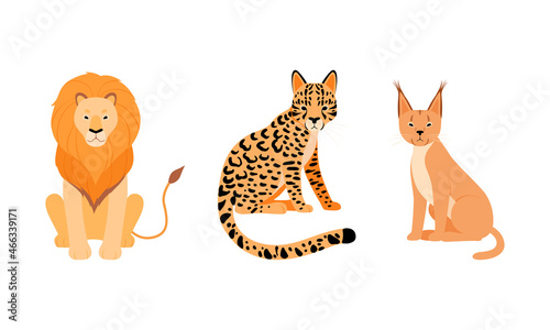Felid or Wild Cat as Carnivore Animal with Lion and Leopard Vector Set
