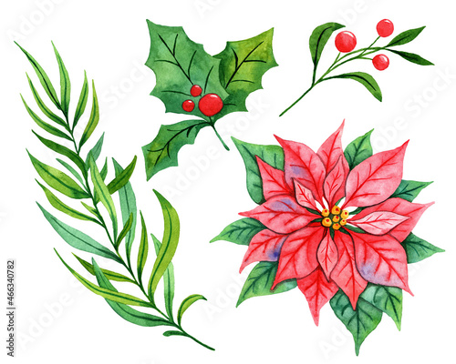 Christmas watercolor clipart, set of elements, poinsettia, holly, branches, berries. Hand painted illustration. Seasonal decor xmas star, New Year's elements for creating a unique design for cards