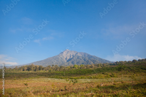 Green fields in beautiful morning view with blue mountain background. This picture taken in Central Java island,